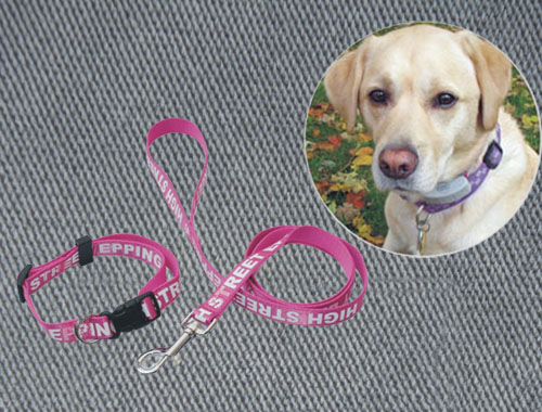 Dog Collars & Leashes 12